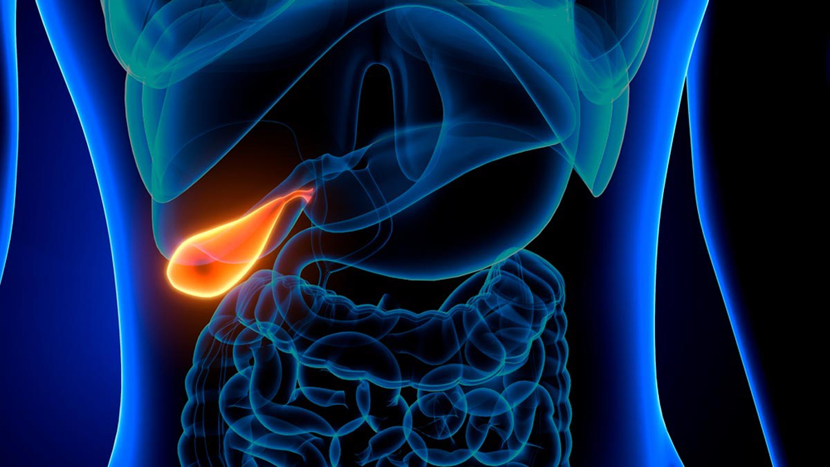 What Is the Most Common Disease of the Gallbladder? | Find Your Answers