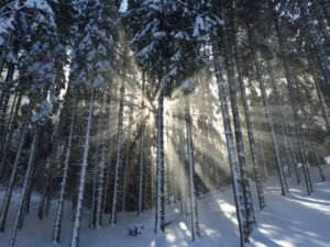 solstice
