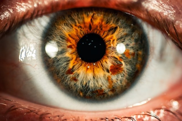 Eyes