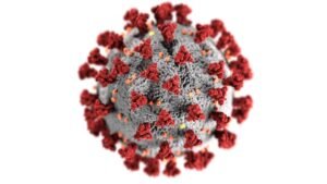 NoroVirus