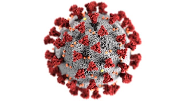 NoroVirus