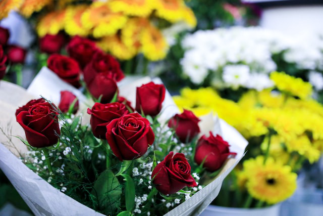 Roses