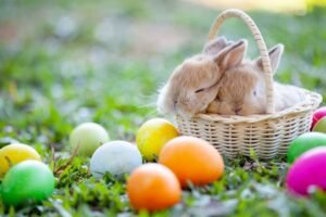 EaterBunny