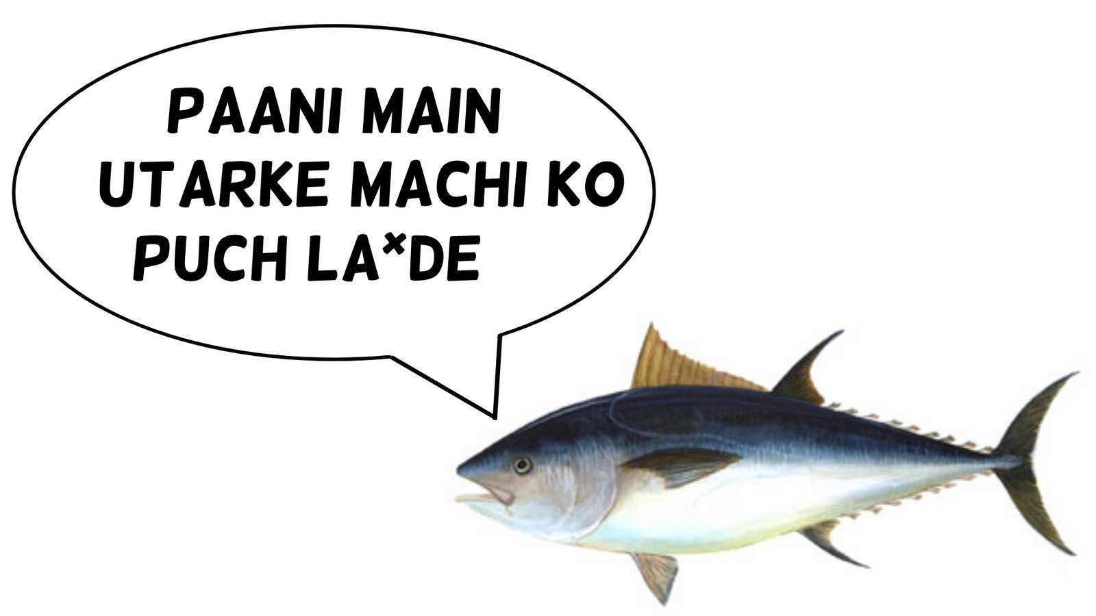 marathi name of tuna fish
