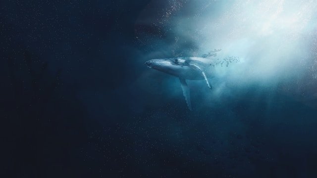 largest animal on earth