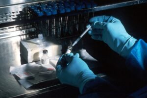 Hands of a scientist