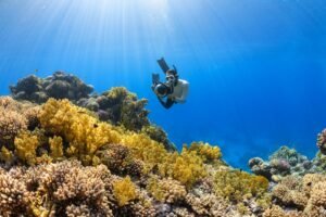 A person swimming over a colorful coral during the deepest scuba dive